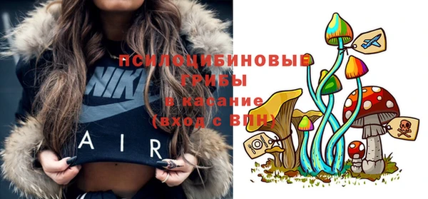 прущие крисы Верея
