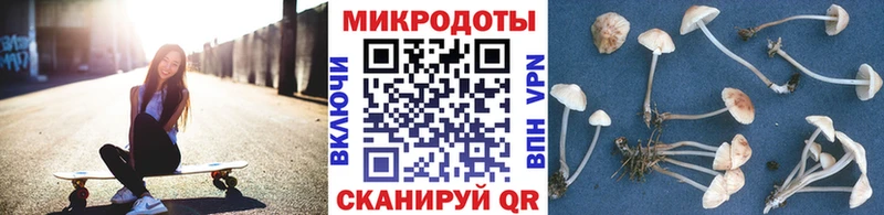кракен сайт  Ангарск  Псилоцибиновые грибы MAGIC MUSHROOMS  наркота 